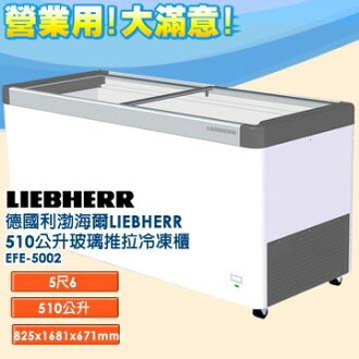 德國利勃 海爾 LIEBHERR 510公升 玻璃推拉冷凍櫃 EFE-5002 指針式溫度計雙重鑄工輪子