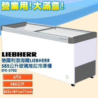 德國利勃 海爾 LIEBHERR 585公升 玻璃推拉冷凍櫃 EFE-5702 指針式溫度計 雙重鑄工輪子