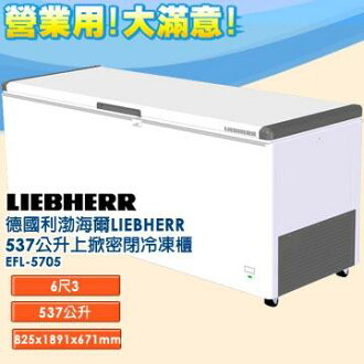 德國利勃 海爾 LIEBHERR 537公升 上掀密閉冷凍櫃 EFL-5705 含鎖、指針式溫度計 外觀四周採圓弧設計