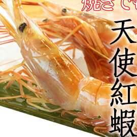 ㊣盅龐水產 ◇10/20生食級天使紅蝦◇2kg/盒 $900/盒 保證最鮮美 - 全場最低價 批發 團購 燒烤