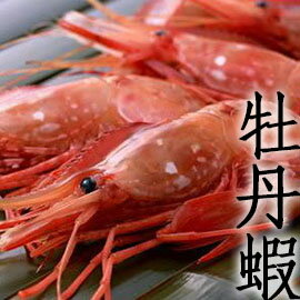 ㊣盅龐水產 ◇生食級牡丹蝦L ◇特大 超滿足 (每公斤25~33隻) 保證最低價 (歡迎.餐聽.批發.團購 .長期配合)