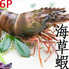 ㊣盅龐水產 ◇越南草蝦6隻裝◇零$370/盒 400g/盒 烤肉 火鍋 餐廳 團購 歡迎批發