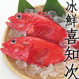 ㊣盅龐水產 ◇日本喜知次◇宮城產 550~650g/尾 全場最低價 (歡迎餐廳 批發 團購 )