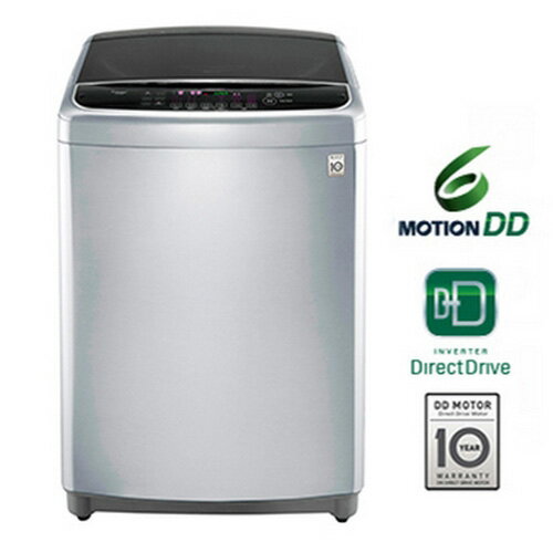 LG 13公斤 變頻洗衣機 WT-D135VG  