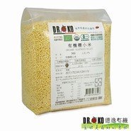 DR.OKO 有機糯小米 500g 阿邦小舖