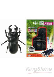 中國大鍬形蟲(甲蟲圖鑑1張)