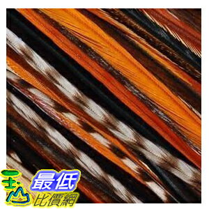 [103 美國直購 ShopUSA] 羽毛髮 4"-6" Natural Rainbow Remix Feathers for Hair Extension 5 Feathers $472
