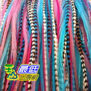 [103 美國直購 ShopUSA] 羽毛髮 Bright Mixed Hair Feathers $451