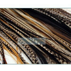 [103 美國直購 ShopUSA] 羽毛髮 NEW 7"-11" Feather Hair Extension Beige,Blond,Black,Browns$493