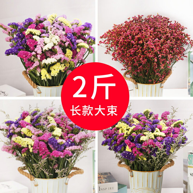 乾花花束真花裝飾擺件客廳擺設鮮雲南天然風輕奢批發滿天星勿忘我