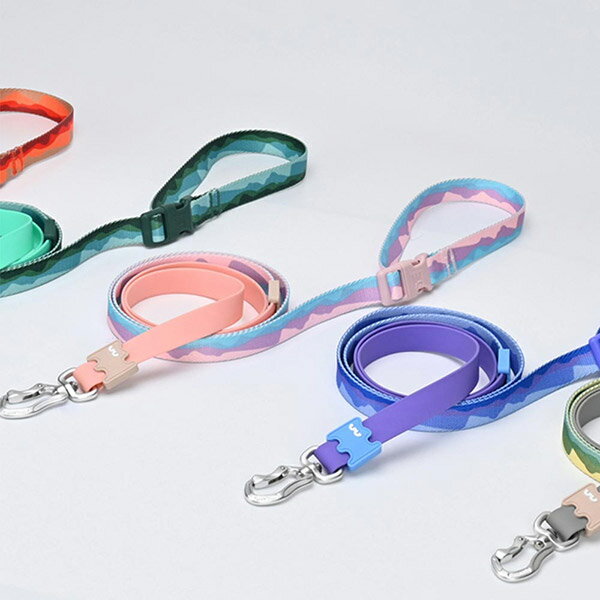 【VitalWave 元氣光波】多功能三合一牽引繩