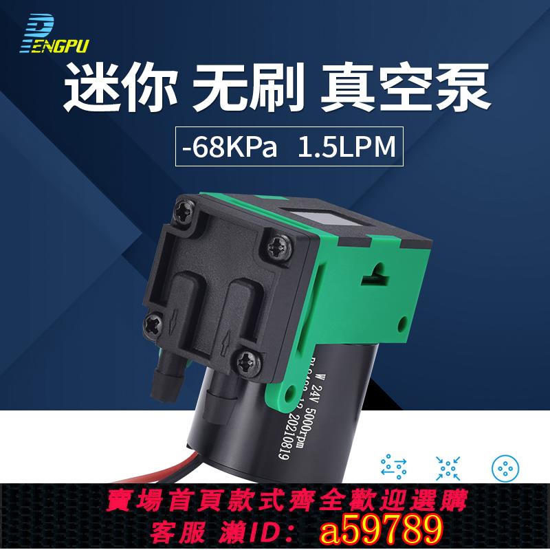 【臺灣公司 可打統編】pengpu微型真空泵小型取樣泵無油耐腐蝕小氣泵迷你小泵小型空壓機