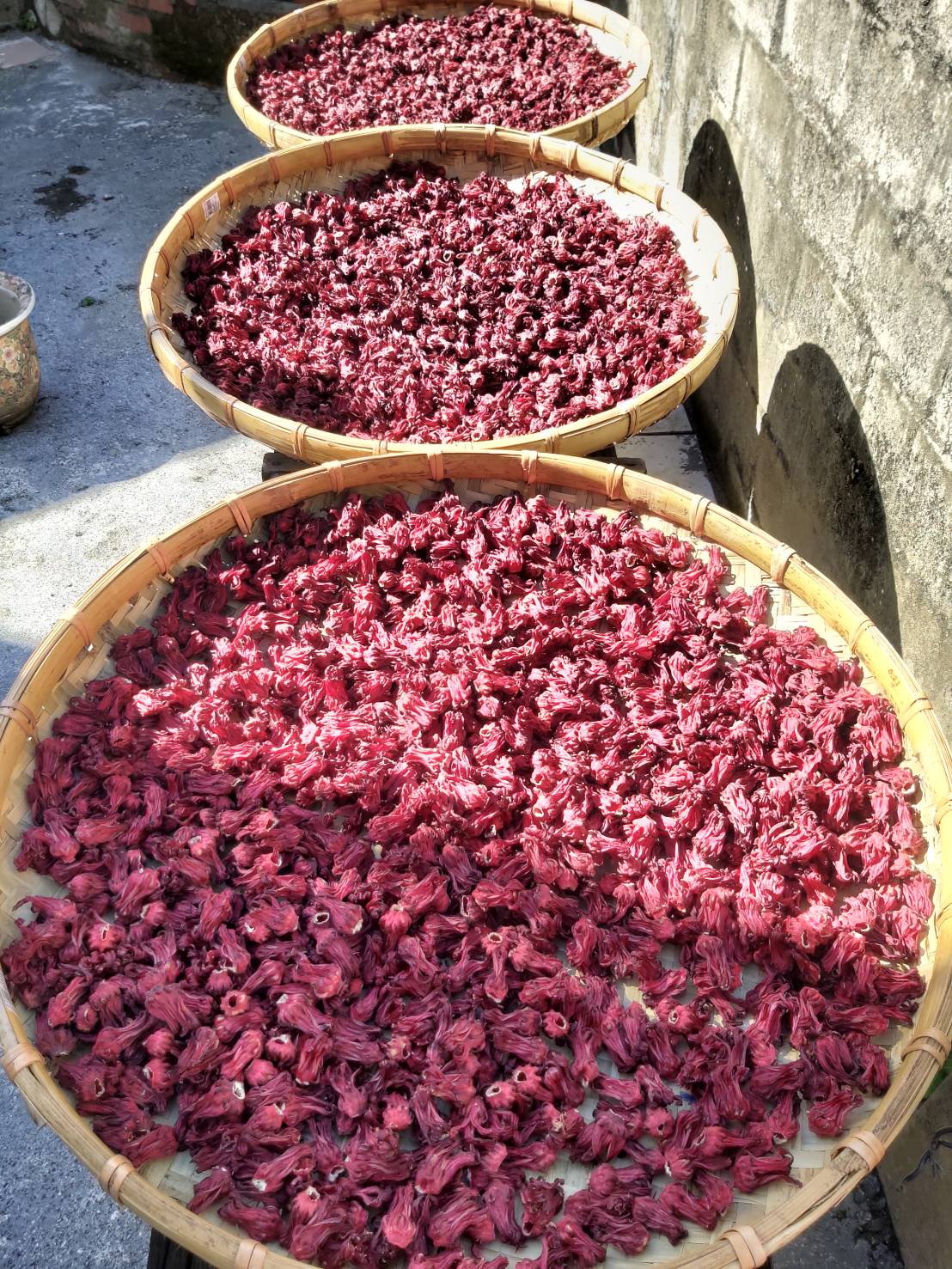 冰糖洛神茶800ML~台東好口碑/獨家特製手法/低熱量健康飲品/夏天消暑聖品/零化學/宅配美食/團購/慶開幕低溫滿千免運 6