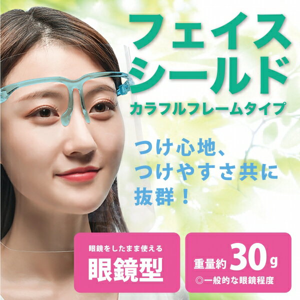 【全館95折】日本 輕便型 防護面罩 SARARITO 防飛沫 防噴濺  保護 安全 雙面防霧 日本正版 該該貝比日本精品