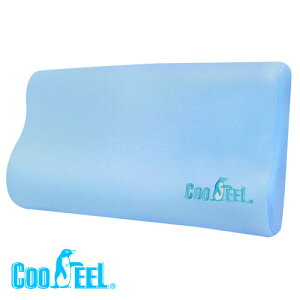 CooFeel 台灣製造高級酷涼紗高密度酷涼記憶枕(MG0054)