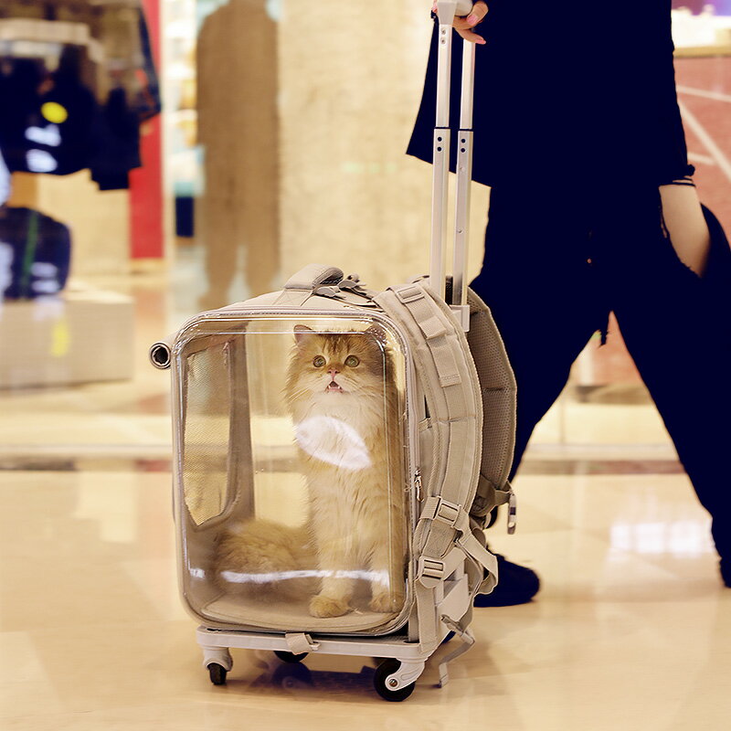 貓包拉桿箱式大容量兩只貓咪雙肩背包外出便攜式透明超大寵物書包