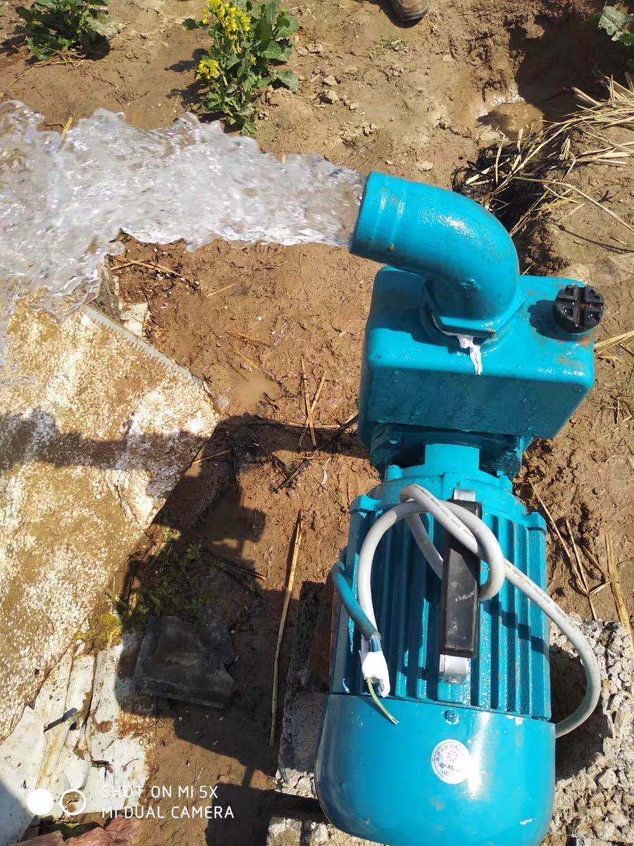 {公司貨 保固一年}220V污水泵自吸排污泵無堵塞化糞池離心式大流量高揚程家用抽水機 2