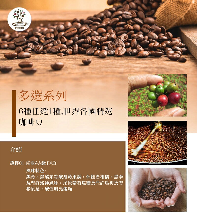 [微美咖啡]多選系列6種任選1種,半磅275元起,世界各國精選咖啡豆,滿500元免運,新鮮烘焙 2