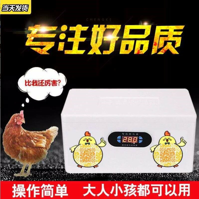 【臺灣公司 可開發票】雞博士孵化機全自動家用型小型水床孵化器雞鴨鵝鴿子蛋孵化箱裝置