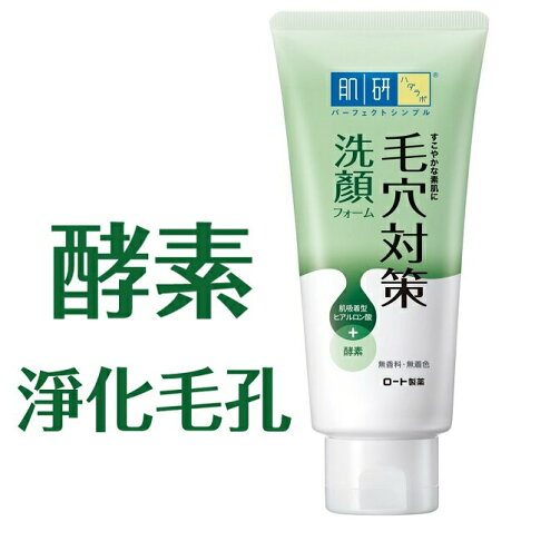 肌研毛穴對策洗顏乳100g 0