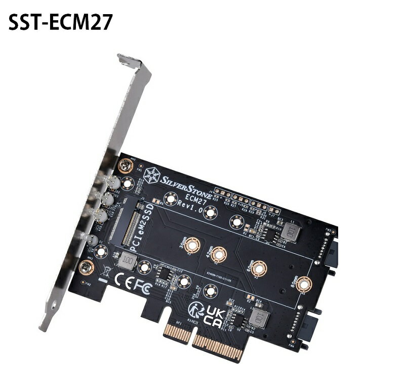 【最高現折268】SilverStone 銀欣 ECM27 NVMe SATA M.2 SSD 轉 PCI-E x4 轉接卡/SST-ECM27