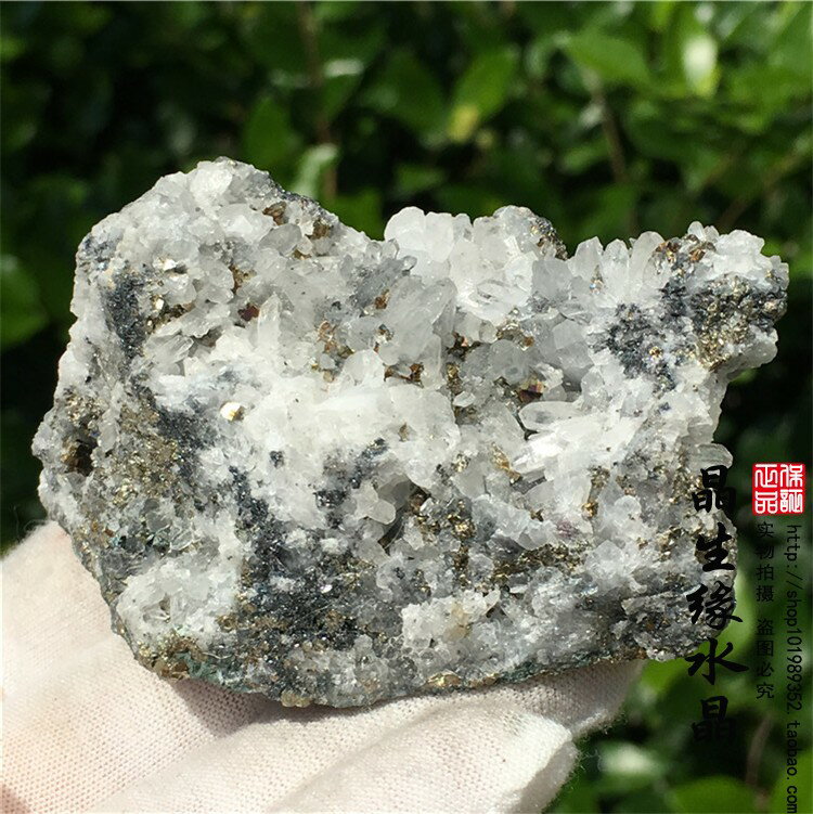 天然礦物晶體晶簇硫鐵礦共生原石礦石標本地質觀賞石教學多款可選