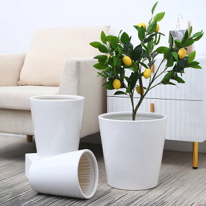 花盆 花盆陶瓷大白色易搭配大口徑透氣家用桌面綠植發財樹