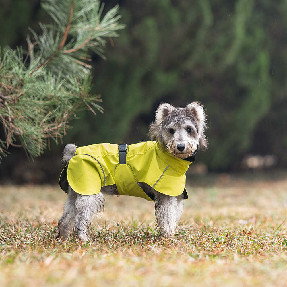 狗狗雨衣防水泰迪寵物衣服中小型犬戶外防水沖鋒衣寵物雨披新款