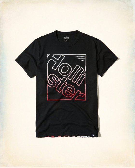 美國百分百【Hollister Co.】T恤 HCO 短袖 T-shirt 海鷗 上衣 logo 黑色 S號 I217