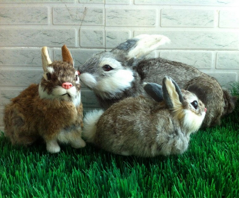 定做仿真動物 仿真兔 大臥兔子 寵物玩具 攝影道具 教學模型