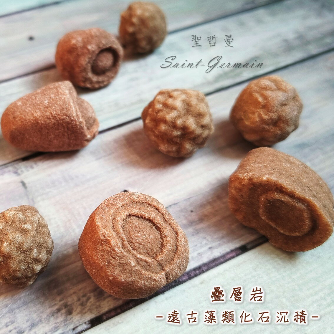 🍀疊層岩 Stromatolite ~ 遠古藻類化石