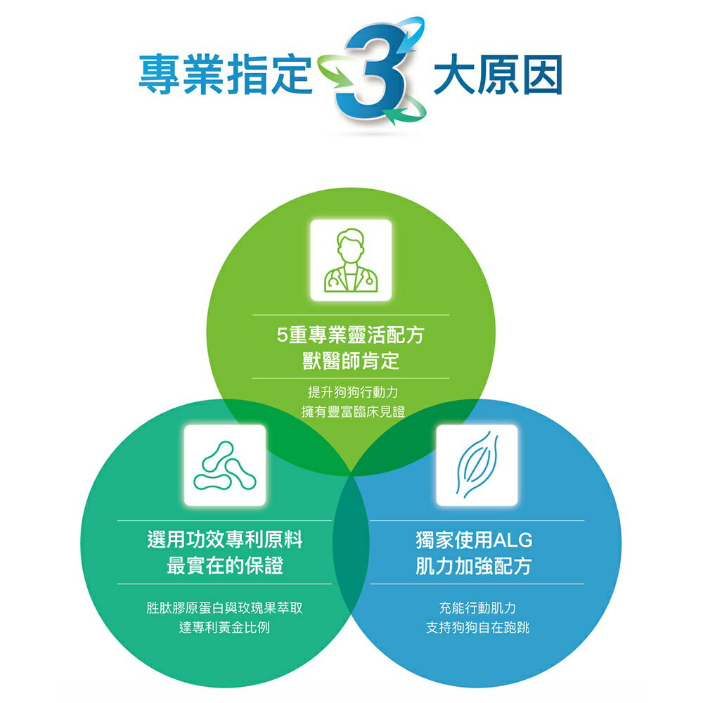 ＵＴＯ｜ 木入森 犬寶有關膝 專業獸醫推薦 3