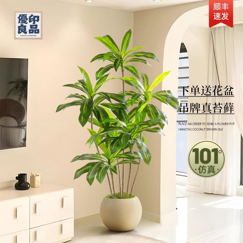 免運 工廠現貨 模擬樹 模擬綠植 仿真植物 裝飾假樹 高階輕奢模擬綠植巴西木盆栽仿生落地盆景假綠植裝飾模擬室內擺件免運 工廠現貨 模擬樹 模擬綠植 仿真植物 裝飾假樹免運/可開發票 工廠直銷 特價出 y5418