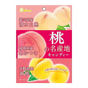 【江戶物語】LION 獅王 三味桃子糖 68.4g 硬糖 白桃 黃桃 水蜜桃 糖果 桃的名產地 日本必買 日本進口