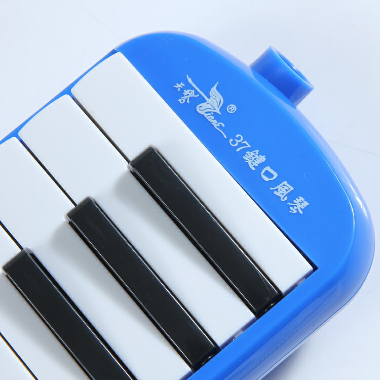 天鵝口風琴37鍵學生成人初學兒童入門演奏教學比賽用吹奏樂器 3