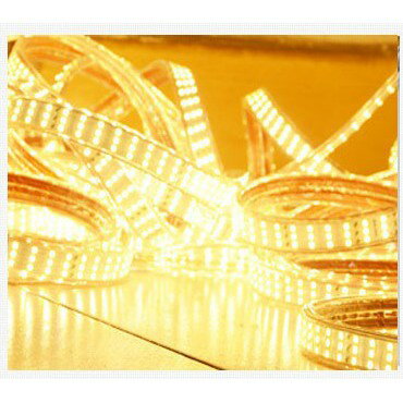 5米、10米 戶外防水露營燈條2835超亮264珠LED 3排調光燈條 LED燈條 天幕 炊事帳【現貨】 2