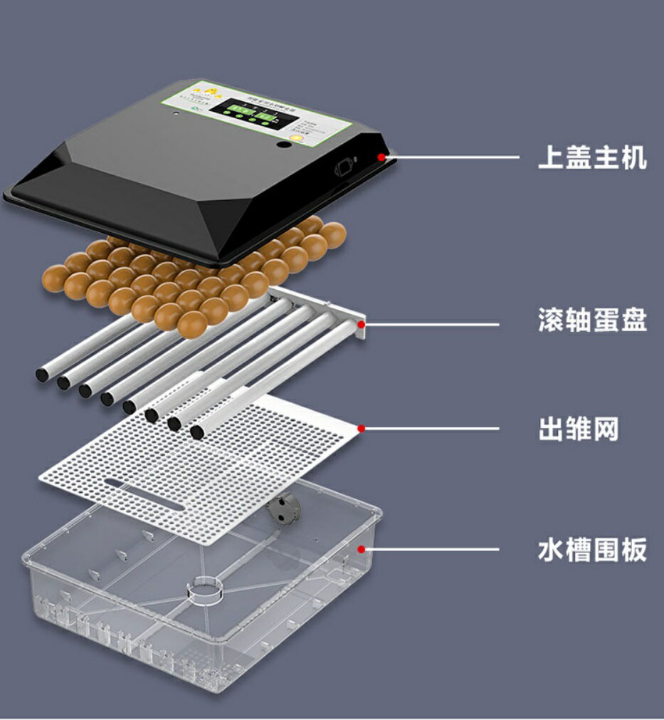 孵蛋機】保固半年雞鴨鵝鸚鵡110V 自動加濕全自動孵蛋器自動翻蛋孵蛋