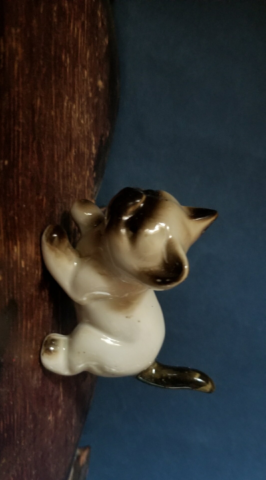 老陶瓷 小暹羅貓