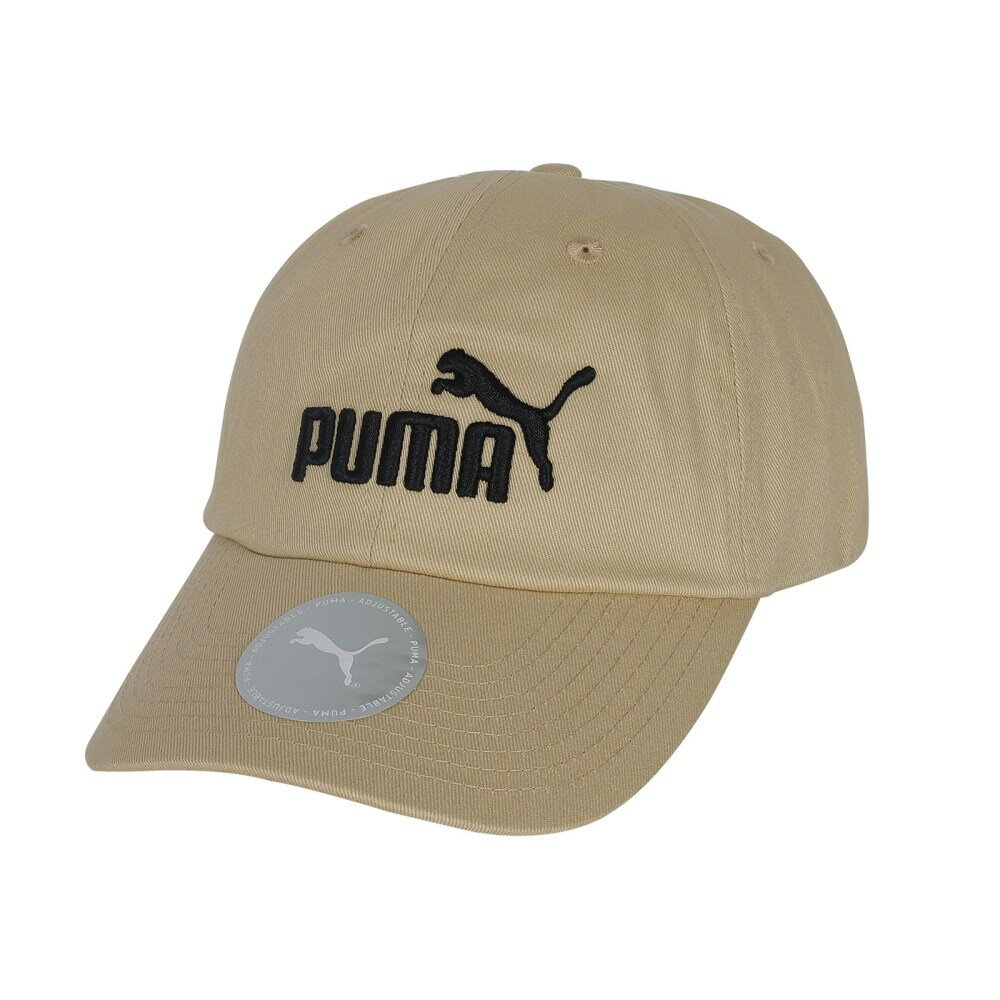 PUMA 基本系列 No.1 棒球帽(防曬 遮陽 棒球帽 運動 帽子「02435717」≡排汗專家≡