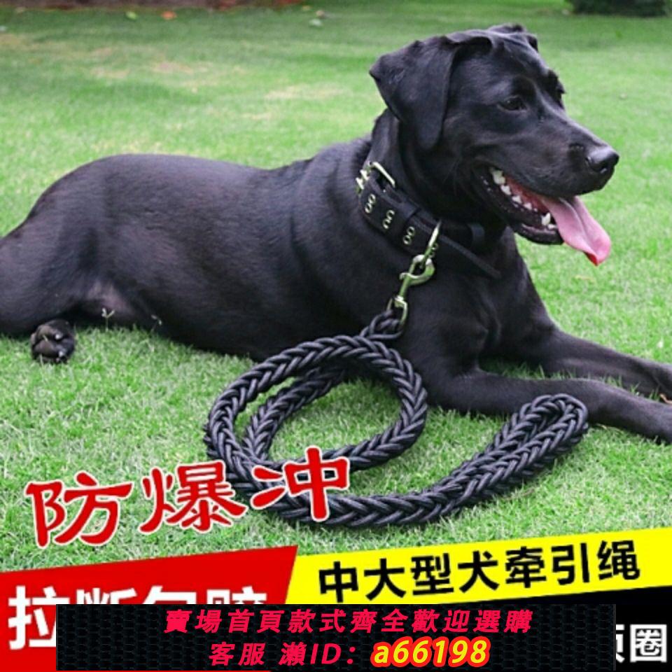 【臺灣公司 可開發票】狗狗牽引繩大中型犬遛狗繩金毛德牧狗鏈子項圈寵物用品牽引帶熱賣