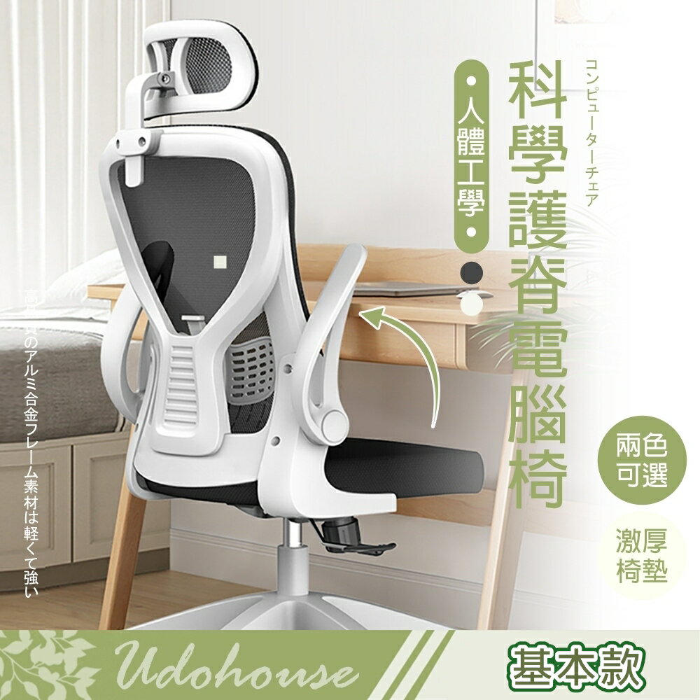 頭枕式護脊電腦椅(基本款) /辦公椅/護腰椅/全網椅/3D頭枕【JL精品工坊】JL1256-A