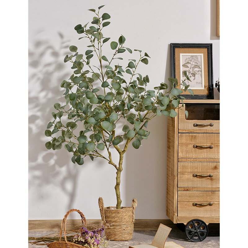 模擬綠植盆栽北歐ins風尤加利樹大型假植物金錢葉擺件室內裝飾樹