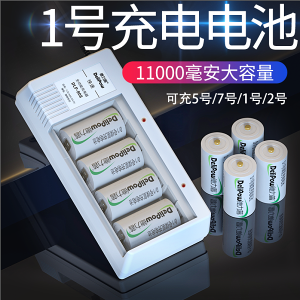 1號充電電池萬能快充電器可充大一號燃氣灶熱水器D型套裝