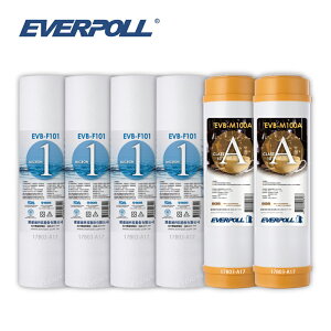 (共6入)EVERPOLL EVB-F101 1微米PP濾心4支 EVB-M100A道爾樹脂濾心2支 大大淨水