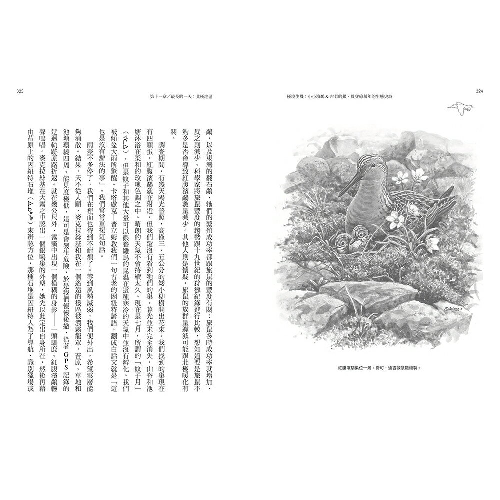 極境生機：小小濱鷸&古老的鱟.貫穿億萬年的生態史詩 【《 9