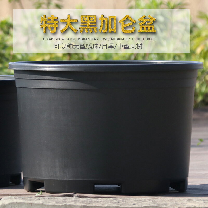 大花盆加大黑色矮胖加侖花盆樹脂花盆繡球葡萄大口徑透氣盆栽花盆| 協貿