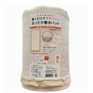 [COSCO代購4] 促銷到4月30號 C142543 Nishikawa Okuraku 吸濕發熱保暖墊 152公分 X 190公分 米白