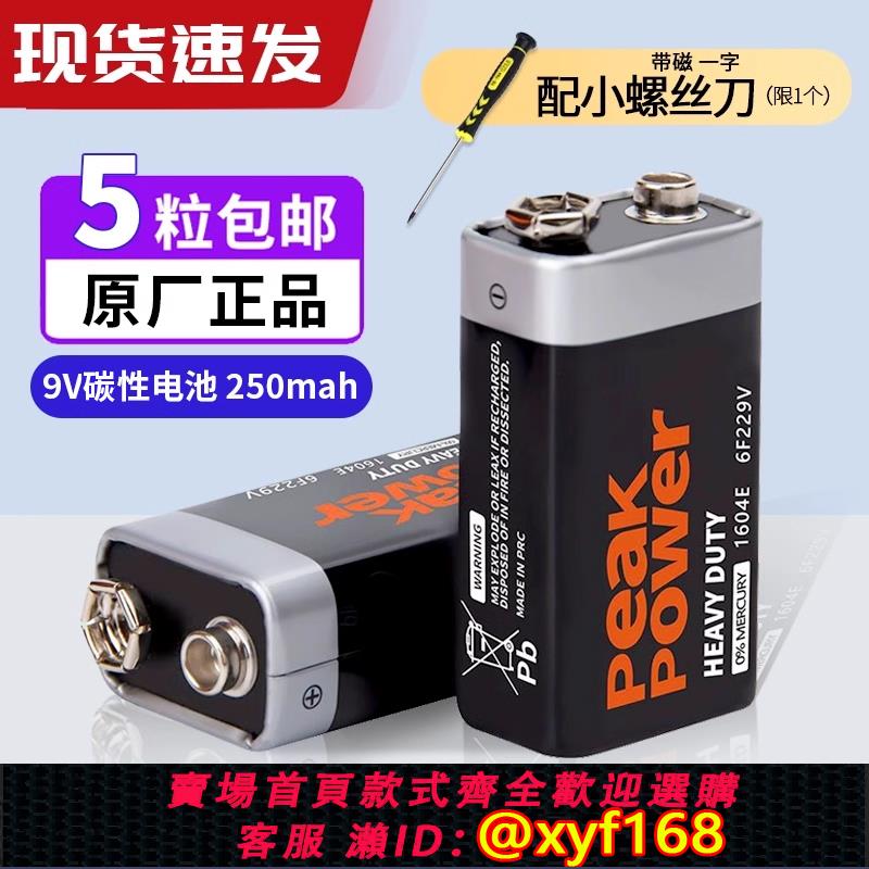 {可打統編 保固一年}9V電池萬用表 測試儀 煙霧報警器 遙控器 音響 玩具 體溫槍無線 話筒麥克風擴音遙控6F22 方塊電池250mAh