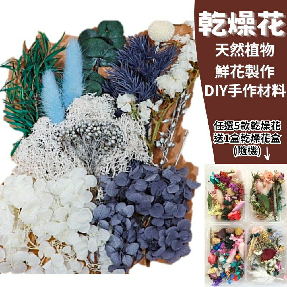 【A-ONE】乾燥花 神秘仙境 永生花 壓花材料包DIY香薰蠟燭 手作授課 社群活動團扇材料包 相框乾燥花 C08
