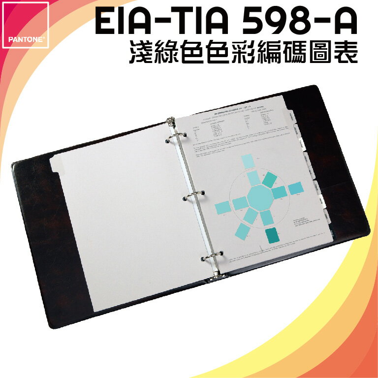 【PANTONE】美國原裝 Munsell  EIA-TIA 598-A 淺綠色色彩編碼圖表